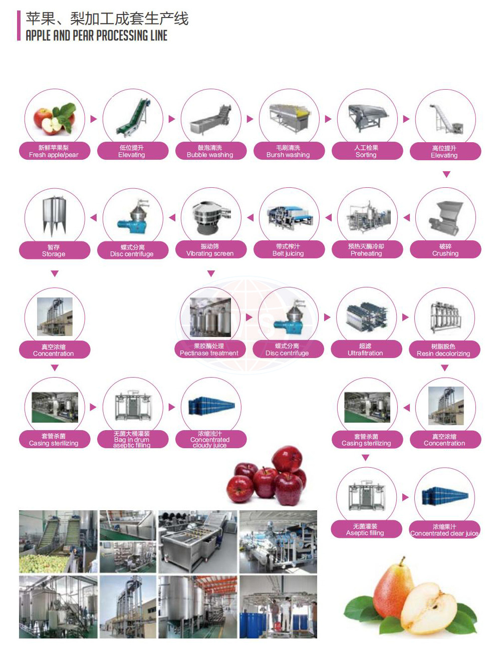 苹果,梨 苹果 梨 梨