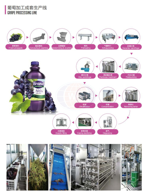 Línea de producción inteligente de jugo de uva