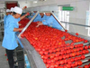 Soluciones para la línea de producción de ketchup de tomate en Sachet